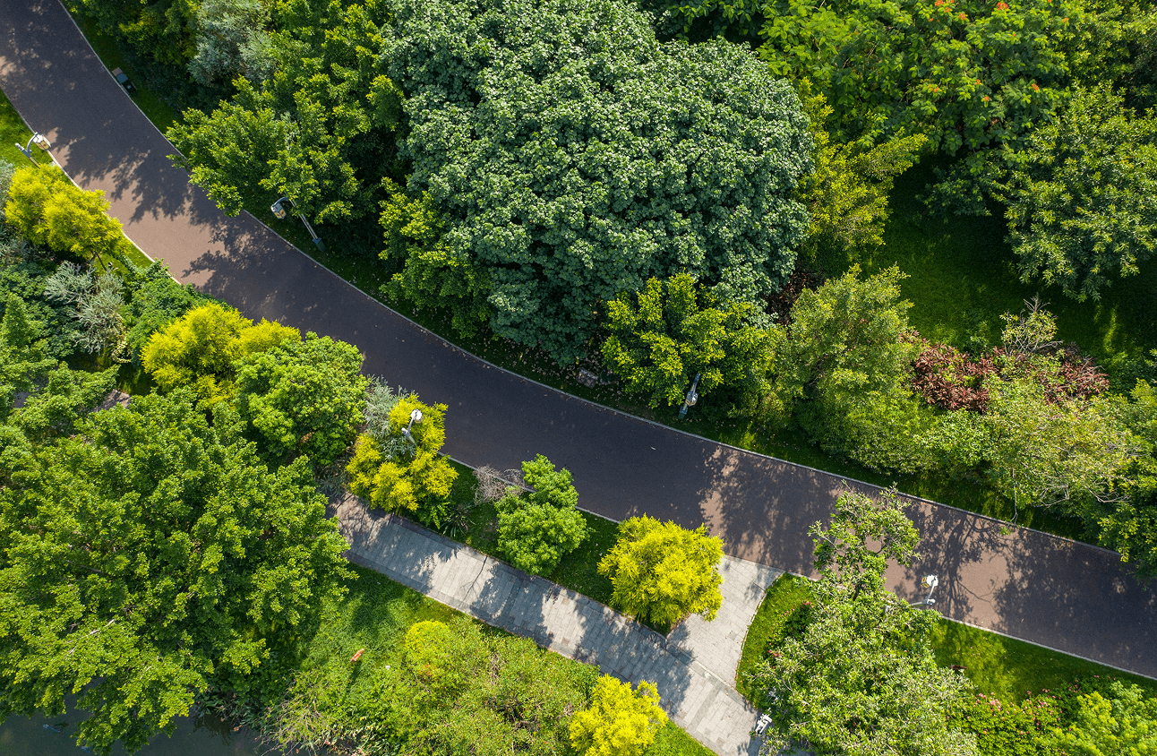 Park view