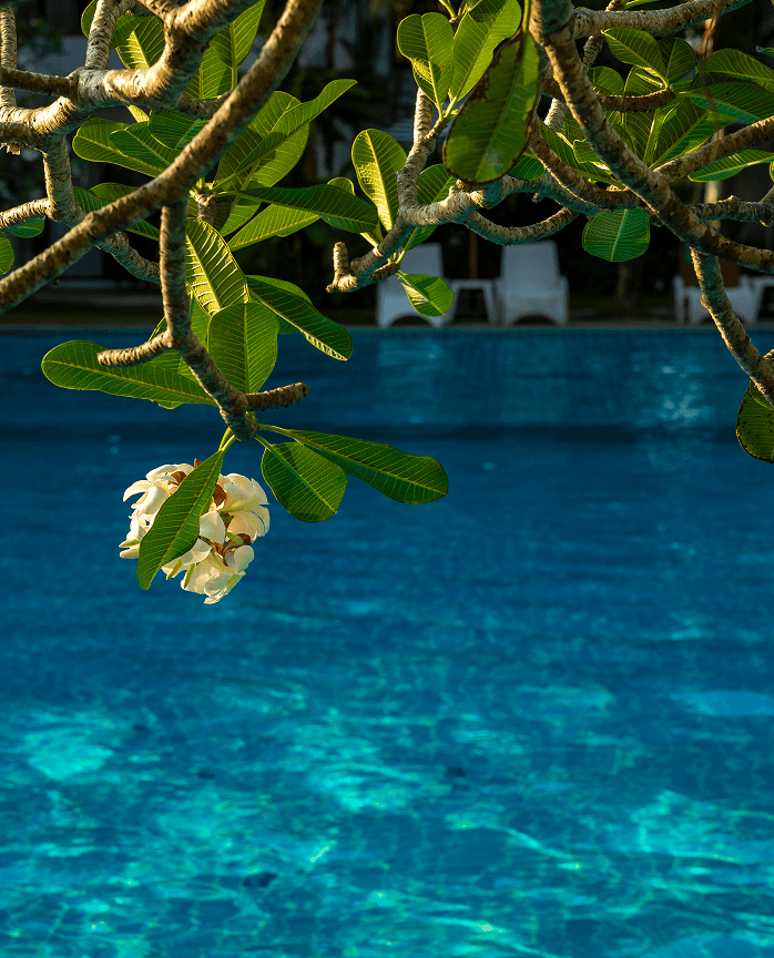 Resort pool